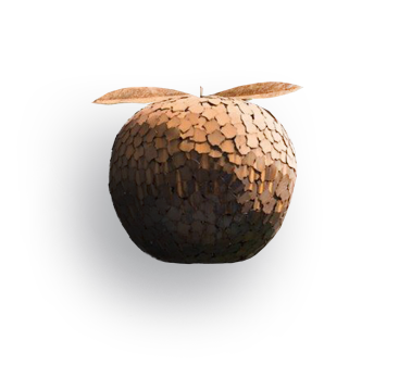 manzana-saizar